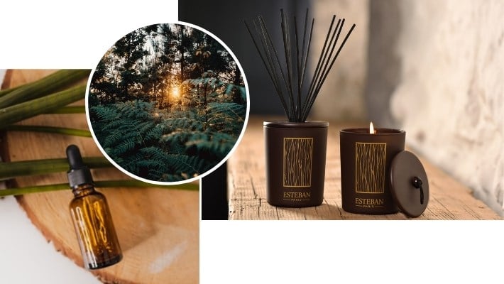 Patchouli et parfum d’ambiance, suivez le guide