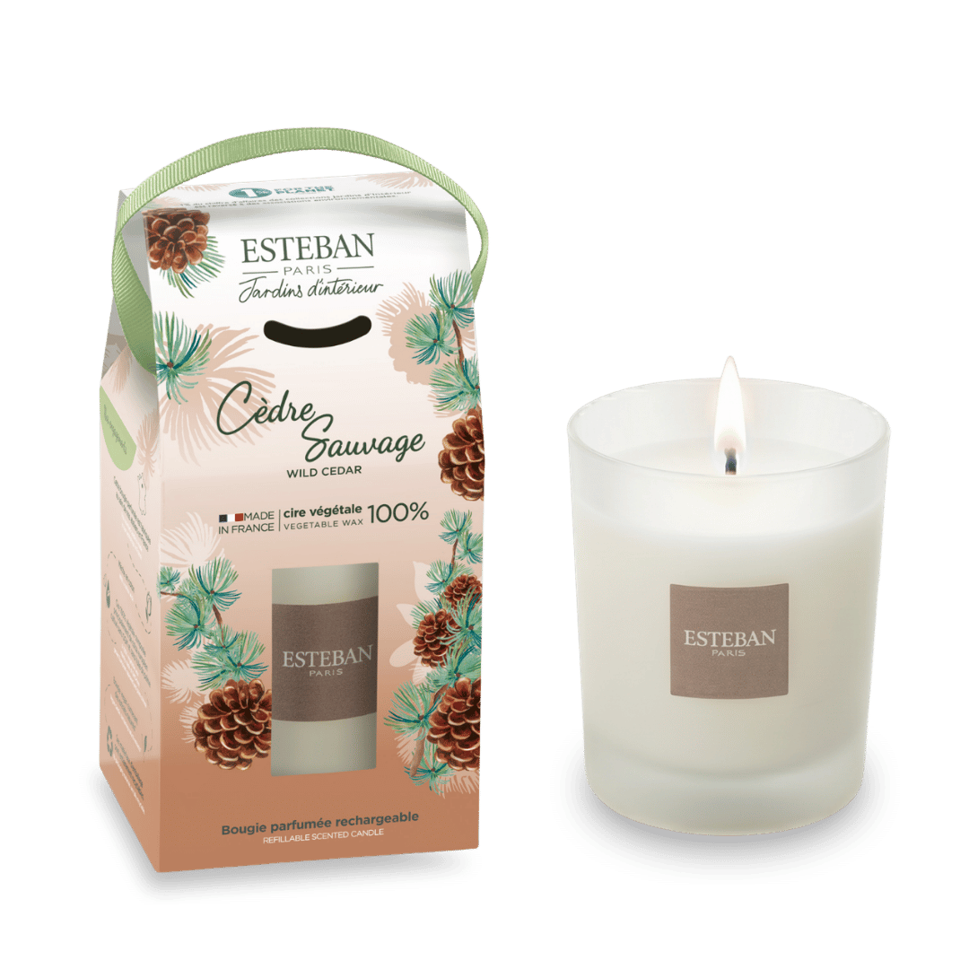Bougie parfumée nature - Cèdre sauvage - rechargeable - 180g