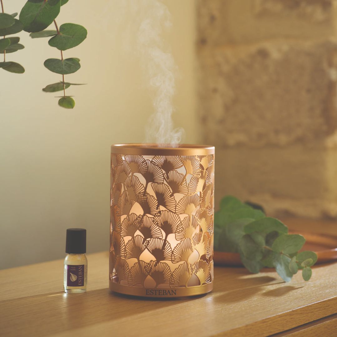 Diffuseur brume de parfum - édition Cuivre & lumière