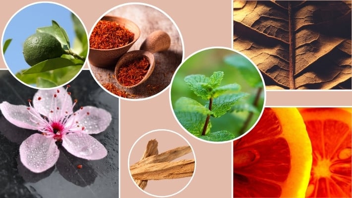 Comment choisir son parfum maison : les 7 grandes familles olfactives