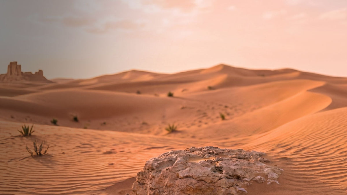 Terre d'Ocre Karité