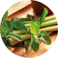 Lemongrass & Mint
