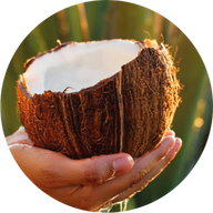 Agave and coconut water