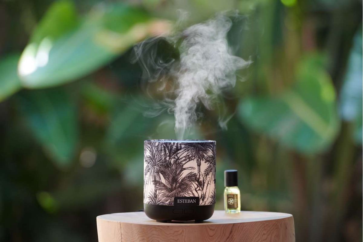 Diffuseur brume de parfum - édition Black Jungle