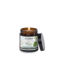 Potted scented candles
